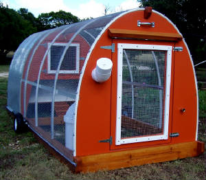 4'x10' UT Burnt Orange. Holds 8 Chickens